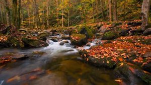 Таинственный парк Грейт-Смоки-Маунтинс.