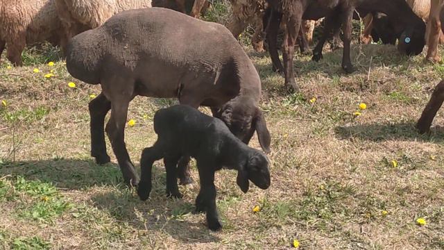 24 марта 2023 г. смотреть онлайн