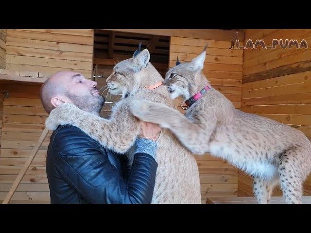Месси в гостях у BobCat! Messi was the guest of the BobCat! смотреть онлайн