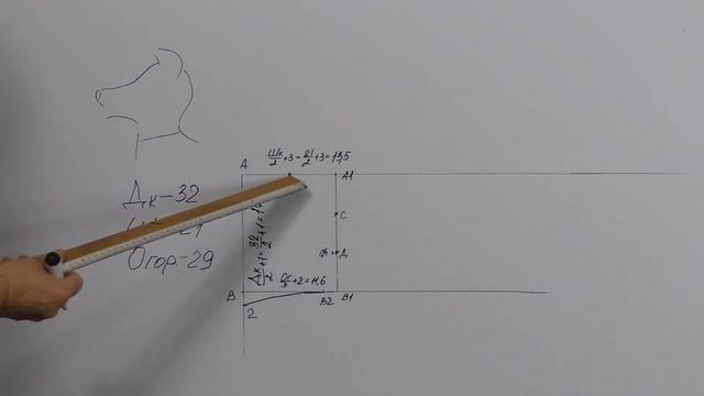 Одежда для собаки своими руками. Построение выкройки капюшона для собаки.