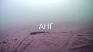 Аргази-11.02.2023 г. ЧТО ЭТО!