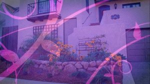 ПОЛИСАДНИК ПЕРЕД ДОМОМ . СВЕЖИЕ ИДЕИ ДЛЯ ДОМА И ДАЧИ. КРАСИВЫЙ САДОВЫЙ УЧАСТОК / IDEAS FOR MY HOUSE