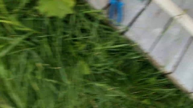 Огромный осётр как он вырос на кормах