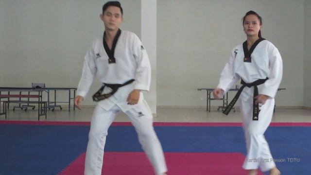 TAEKWONDO DANCE PERFORMANCE смотреть онлайн
