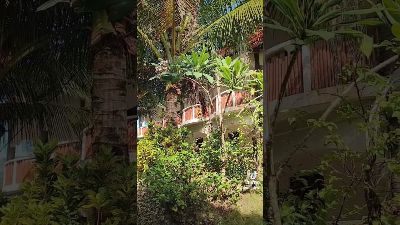 House in jungle #boracay #boracayisland #jungle #tropical #travel2023 #nature #boracay #house смотреть онлайн