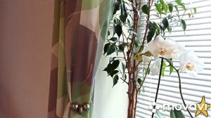 ПОКРАСКА СТАРЫХ ОБОЕВ ЛЕГКО ПРОСТО БЮДЖЕТНО, Все "ЗА" и "ПРОТИВ"