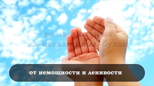 √ДУА ОТ ЛЕНИ И СЛАБОСТИ, СКУПОСТИ И ТРУСОСТИ, ЗАБОТ И ПЕЧАЛИ. смотреть онлайн