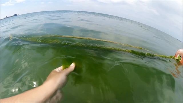 №11 Влог. Анапа. Много водорослей. Даня плавает, играет в песок.