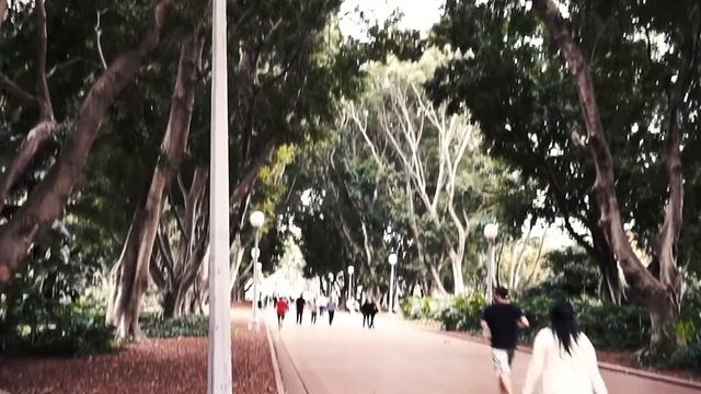 Sony Alpha 3500 (Cinematic Test #4) смотреть онлайн