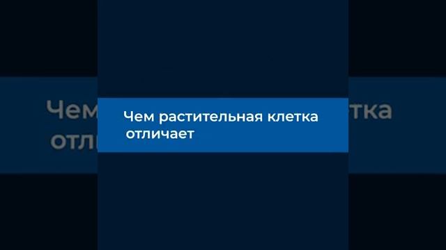 Вся ботаника к ЕГЭ за 1,5 минуты