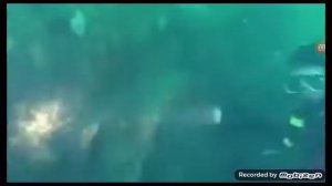 10 необычных находок на дне океана