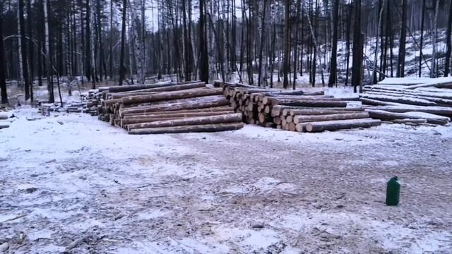 Лесозаготовка, съемка с высоты) смотреть онлайн