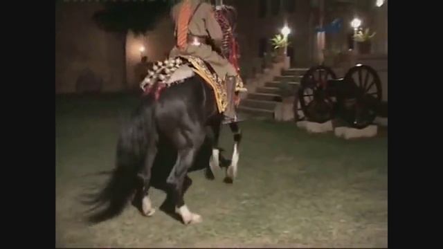 Танцующий боевой конь марвари