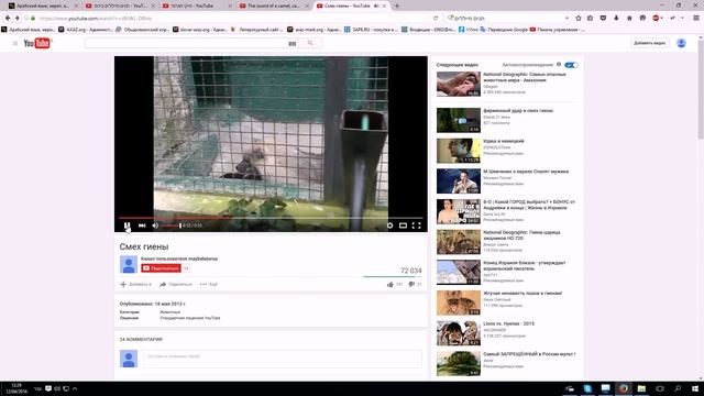 6. Изучение иврита. Как "разговаривают" животные. Урок ведет Марк Харах (Ниран) смотреть онлайн