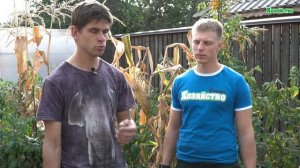 Как и чем известковать почву?