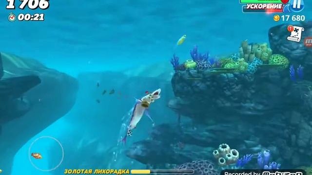 Я каплю на стетакант акулу☠️☠️☠️ смотреть онлайн