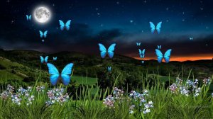 AdobeAfterEffects МК-17 футаж Бабочки в ночи Работа с проектами