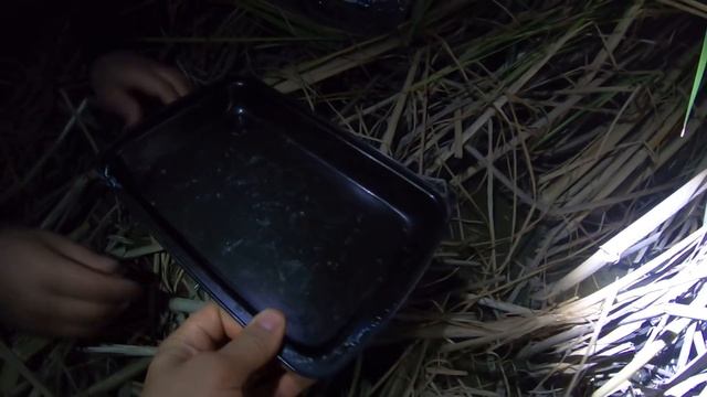 РЫБАЛКА НА ДЕНЬ РЫБАКА. РЕАЛЬНЫЕ ПРИКЛЮЧЕНИЯ. ГОТОВИМ ВКУСНЯШКУ НА ОГНЕ. НЕЗАБЫВАЕМЫЙ ВЫЕЗД ! смотреть онлайн