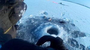 Ловлю окуня на конус!