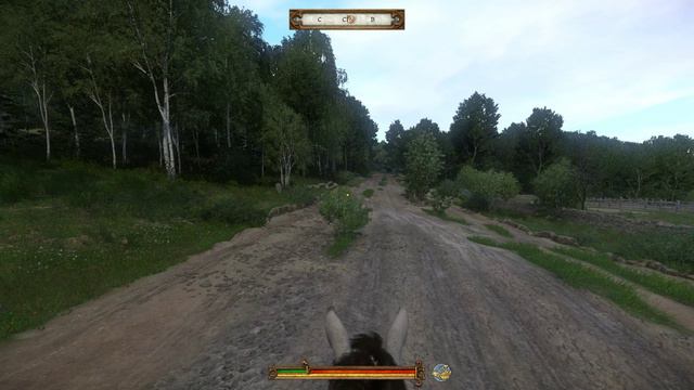 Kingdom Come Deliverance - прохождение [91] ОКОНЧАНИЕ - русские субтитры