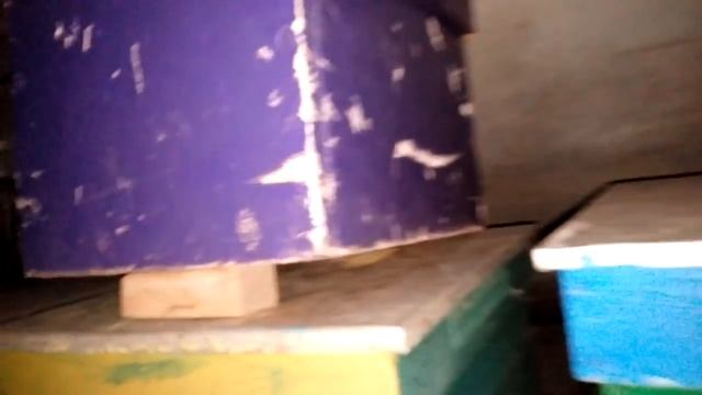 Полуподземный зимовник на 100 симей. смотреть онлайн