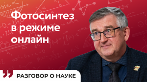 Как цифровые технологии помогают отслеживать динамику агро-экологических процессов | Иван Васенев