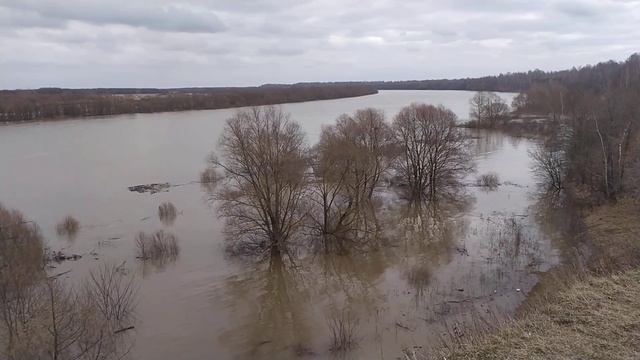 Разлив реки Оки 02.04.2023 г. смотреть онлайн