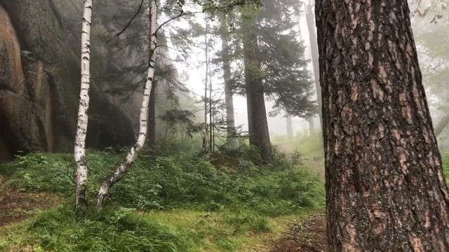Первый столб заповедник Красноярские столбы