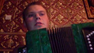 Жиган лимон Михаил Круг баян cover