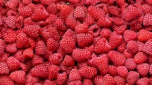 ЯГОДА-МАЛИНА