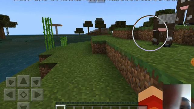 Как можно платить в майнкрафте ? смотреть онлайн