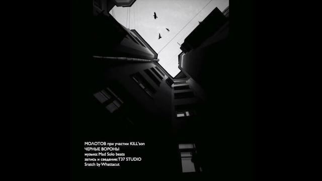 Черные вороны