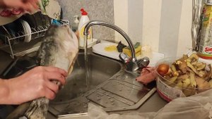Как размораживать рыбу, лёгкий способ