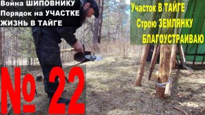 № 22 - Кошу шиповник в ТАЙГЕ. Порядок на участке.