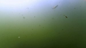 2018.09.24 Алебастровый Карьер с. Филинское