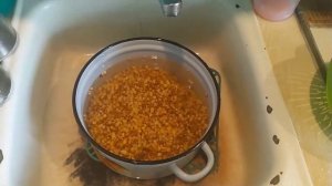простой зерновой микс для ловли всей белой рыбы