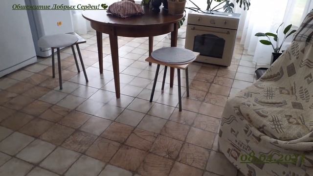 СУПЕР КУХНЯ ЭКОНОМ ВАРИАНТ/МЕБЕЛЬ ИЗ ТОГО ЧТО БЫЛО/ДОСТАВКА ОZON ПОМЯЛ ФОРД/КЛАДЕМ ЛАМИНАТ/ПОКУПКИ) смотреть онлайн