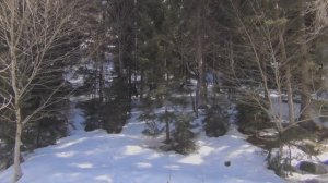 Грузия зимой, Боржоми, отдых в Грузии в феврале, горячие источники.