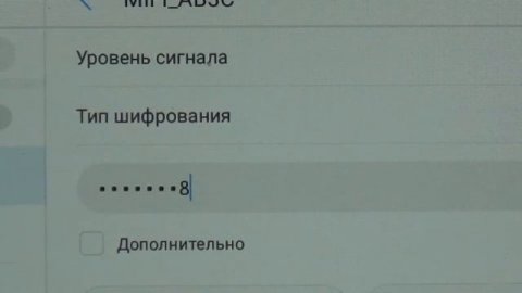 Уличный WiFi роутер для дачи MirVision