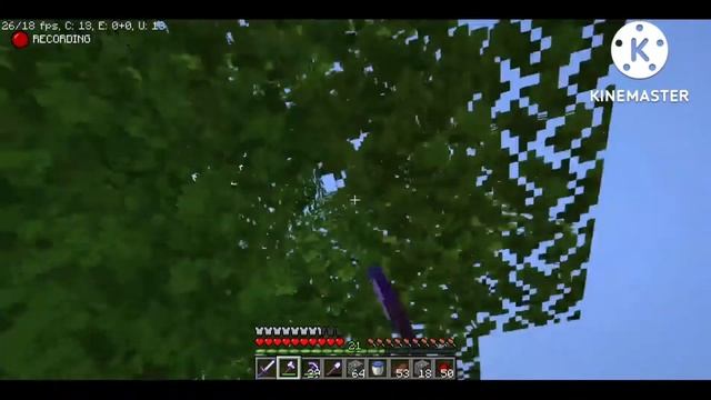 MINECRAFT SURVIVAL EPISODE #3 || MINECRAFT || I MADE DIMOUND  ARMOUR  AND SUGAR CANE FARM