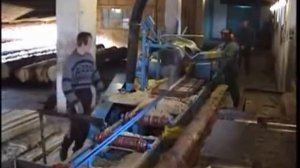 дисковая пилорама ЦДС 1100, www.lesmetaltorg.ru