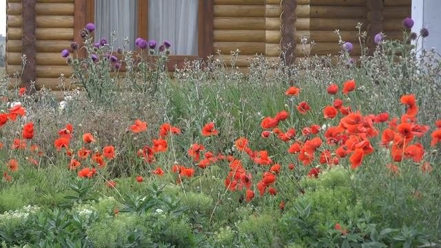 Крым 2021  Восхитительная природа  Часть 2