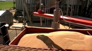 Пробоотборник автоматический BioPro