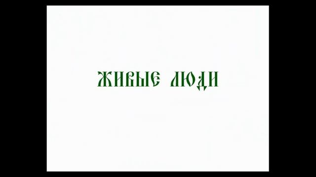 Как накрутить подписчиков в группу ВКонтакте, накрутка лайков, репостов, опросов