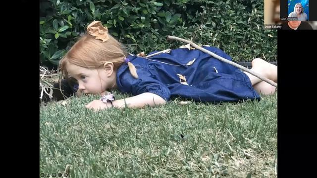 Bringing nature home Tallamy смотреть онлайн