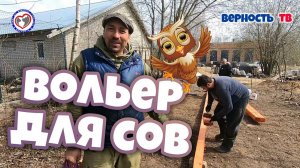 Вольер для сов. Помощь Животным и птицам