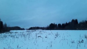 ТЭП70-540 с пассажирским поездом Москва-Сыктывкар.