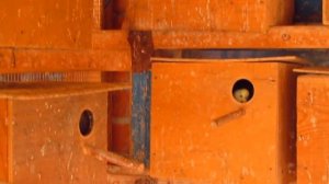 Разведение волнистых попугаев | Budgies breeding