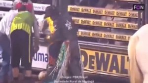 Бык насмерть забил чемпиона родео тремя ударами (18+)