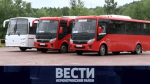 Выпуск от 29.07.2023: деревья под угрозой; новые автобусы; опасные клещи